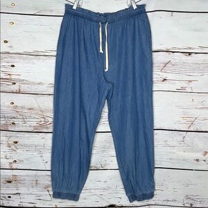 Oddy NWT Size 3XL Blue Chambray 100% Cotton Paperbag Pull On Jogger Pants